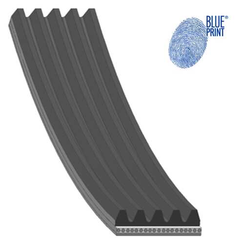 Поликлиновой ремень (ручейковый) BLUE PRINT AD05R935