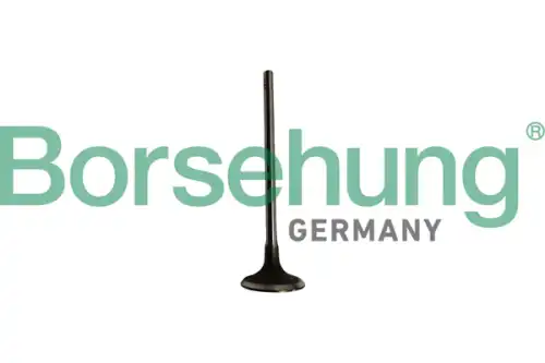 Клапан грм BORSEHUNG B10334