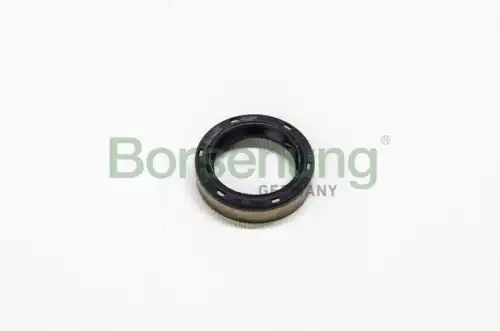 Сальник BORSEHUNG B12192