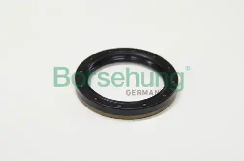 Сальник BORSEHUNG B12193