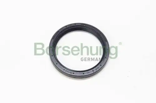 B12198 сальник дифференциала 60x74x8 BORSEHUNG B12198