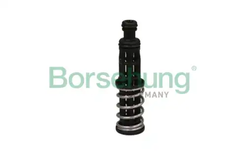 B12309 клапан BORSEHUNG B12309