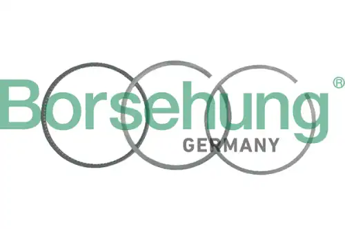 Кольца поршневые двигателя /комплект/