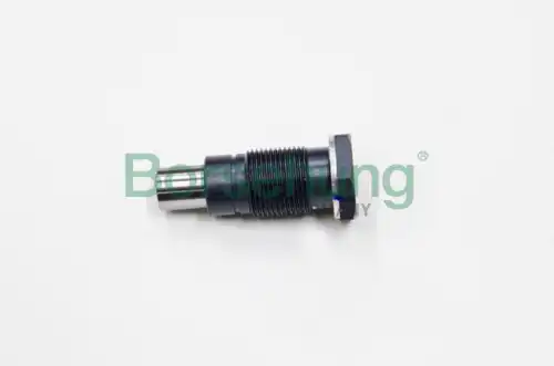 B19308 натяжитель цепи BORSEHUNG B19308