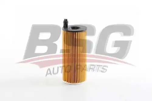 Масляный фильтр bsg