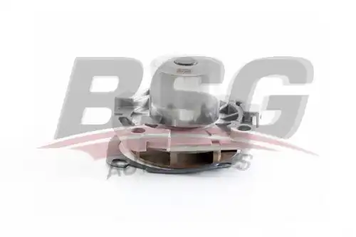 Помпа водяная BSG BSG 25-500-007