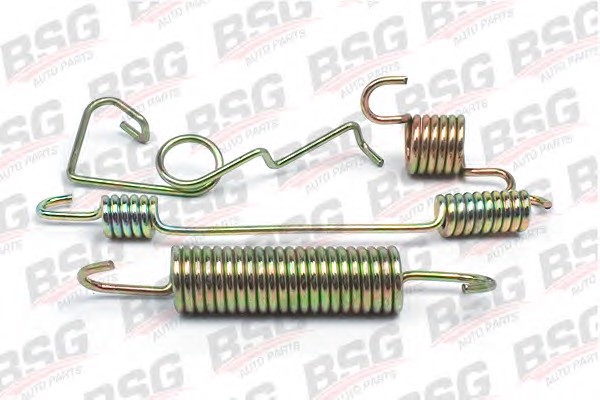 Пружина тормозной колодка BSG BSG 30-260-003
