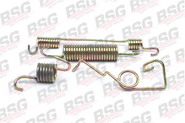 Пружина тормозной колодка BSG BSG 30-260-004