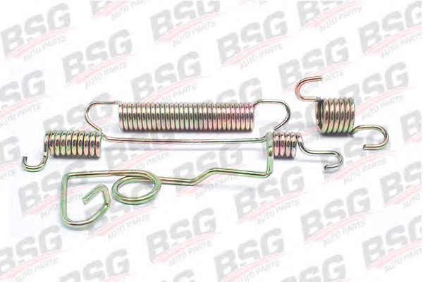 Пружина тормозных колодок BSG BSG 30-260-005