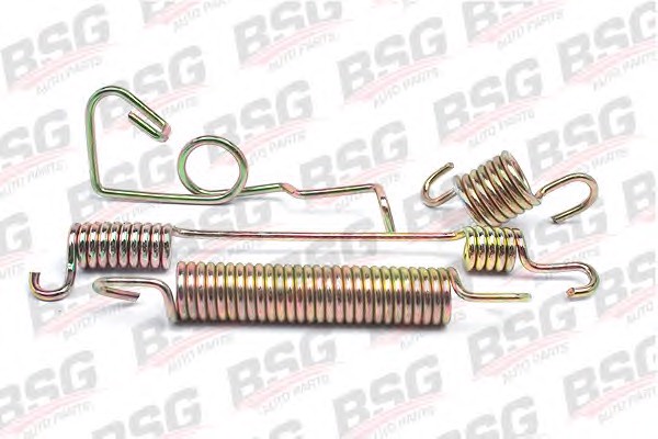 Пружина тормозной колодка BSG BSG 30-260-006