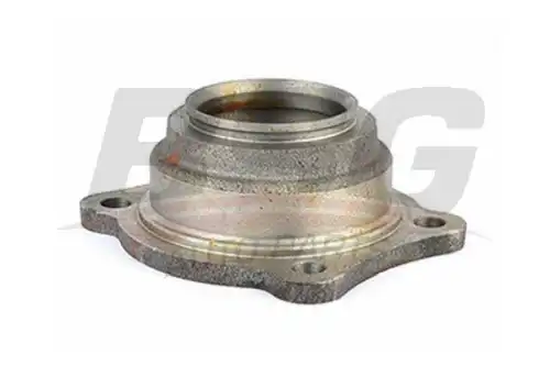 Bsg 30-325-023 ступица задняя BSG BSG 30-325-023