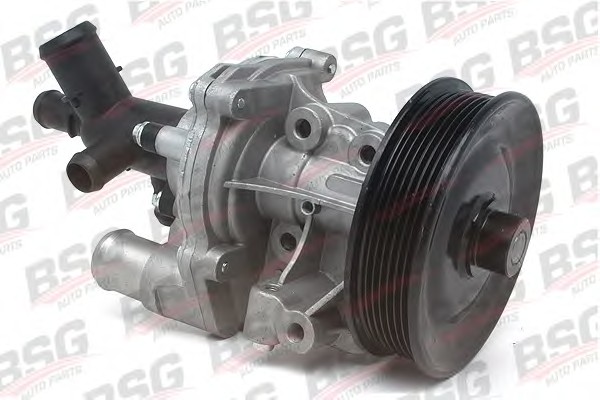 Водяной насос охлаждение двигателя BSG BSG 30-500-019