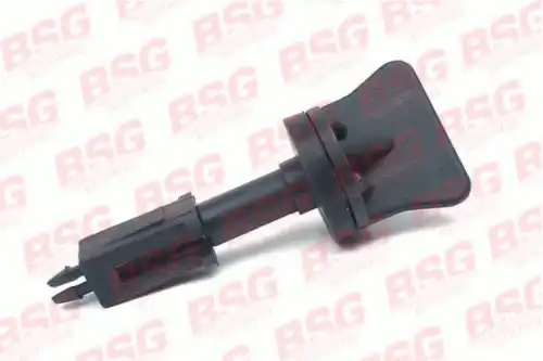 Bsg 30-521-001 вентиль воздушного клапана радиатора BSG BSG 30-521-001
