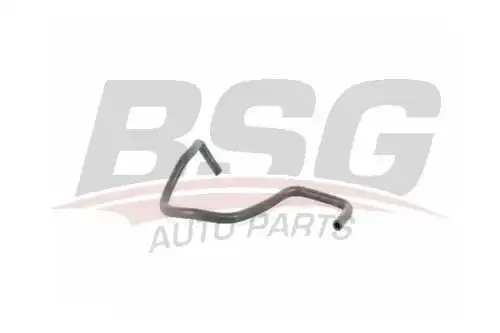 Bsg 30-720-264 трубка радиатор-двигатель соединительная BSG BSG 30-720-264