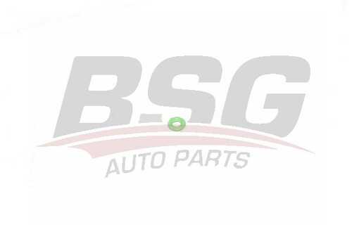 Топливный шланг BSG BSG 30-995-050
