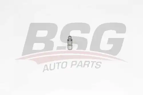 Bsg 40-122-025 гидрокомпенсатор BSG BSG 40-122-025