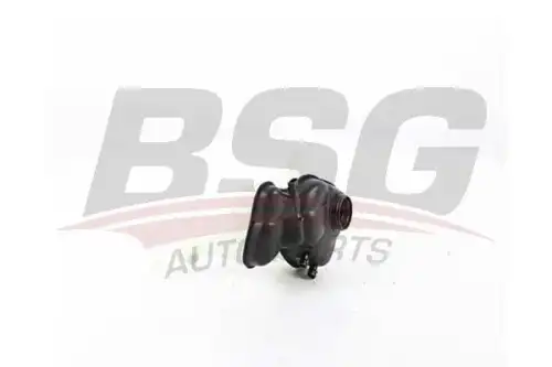 Расширительный бачок bsg BSG BSG 60-550-014