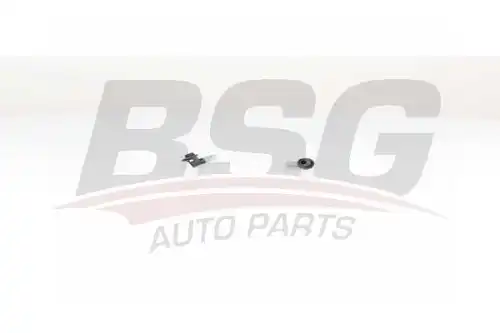 Трубка топливная bsg BSG BSG 60-725-009