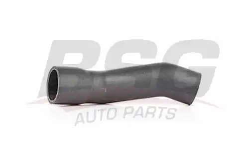 Шланги и патрубки bsg BSG BSG 90-720-004