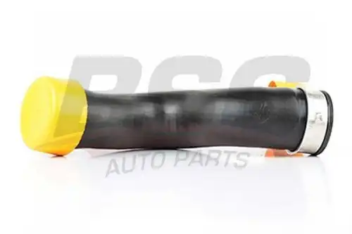 Шланги и патрубки bsg BSG BSG 90-720-008