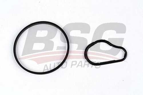 Bsg30-235-006 уплотнительные кольца вакуумного насоса тормозов (к-т) psa 1.6 hdi BSG BSG30-235-006