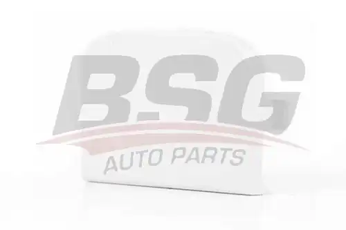 Заглушка переднего бампера ford focus-i 01 BSG BSG30922055