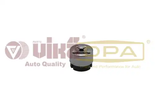 Колпачок колесного болта DPA 66010705302