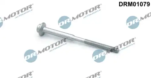 Drm01079 болт крепление форсунки DR.MOTOR AUTOMOTIVE DRM01079