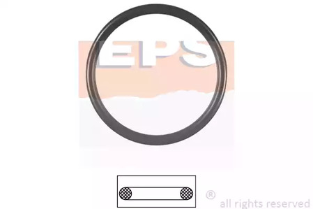 Прокладка термостат EPS 1.890.590