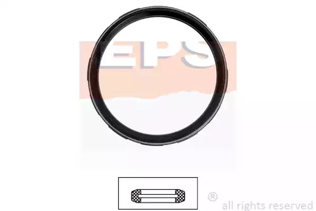 Прокладка термостат EPS 1.890.722