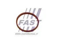 Ft48932 прокладка уплотнитель резиновый FAST FT48932