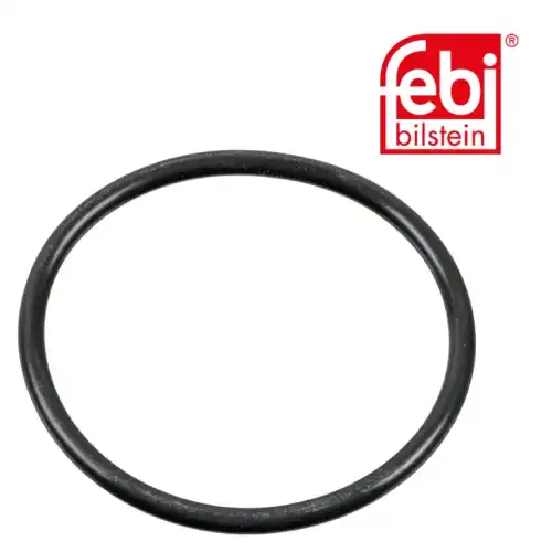 100165 кольцо уплотнительное насоса гур FEBI BILSTEIN 100165