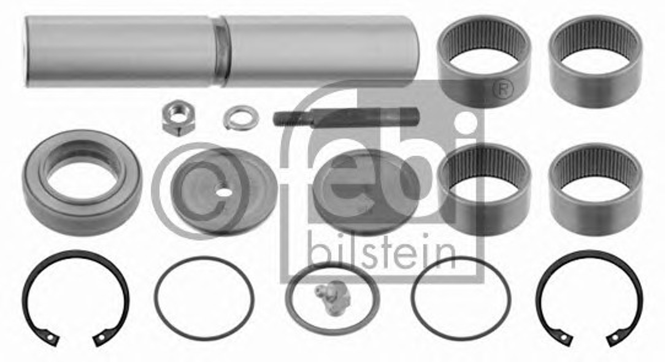 Ремкомплект шкворня FEBI BILSTEIN 10309