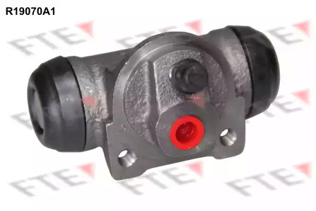 Рабочий тормозной цилиндр FTE R19070A1