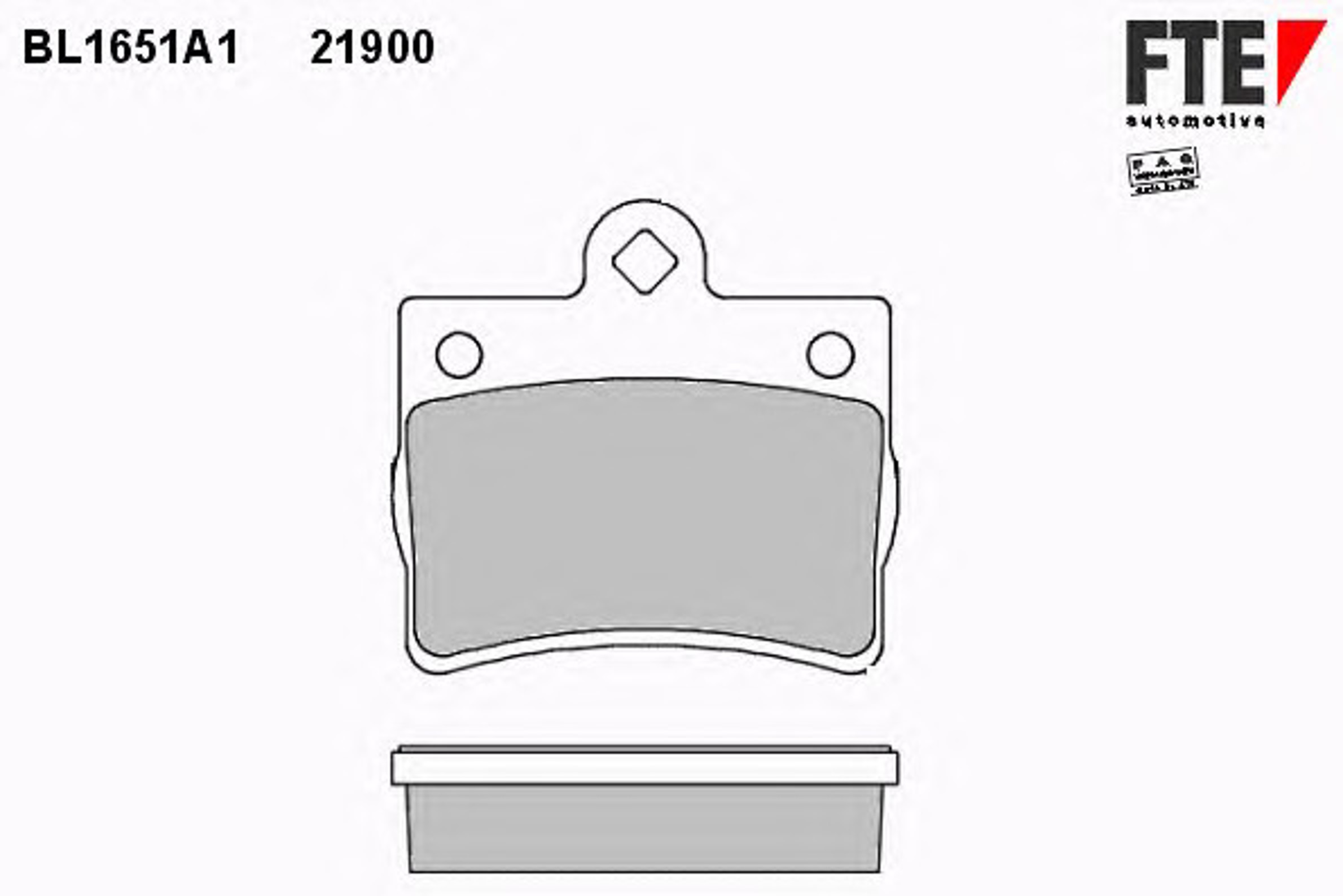Колодки тормозные дисковые FTE BL1651A1