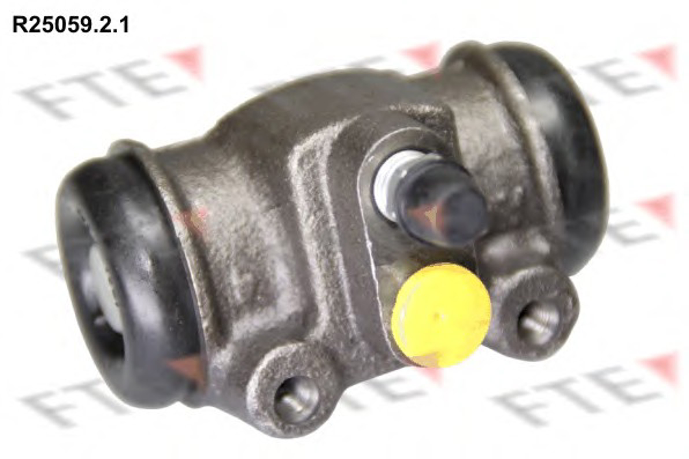 Цилиндр тормозной рабочий FTE R25059.2.1