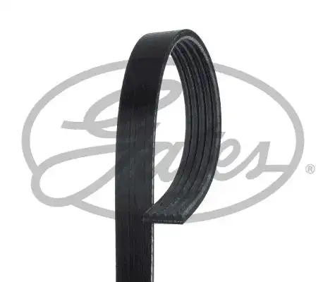 Поликлиновой ремень (ручейковый) GATES 5PK925