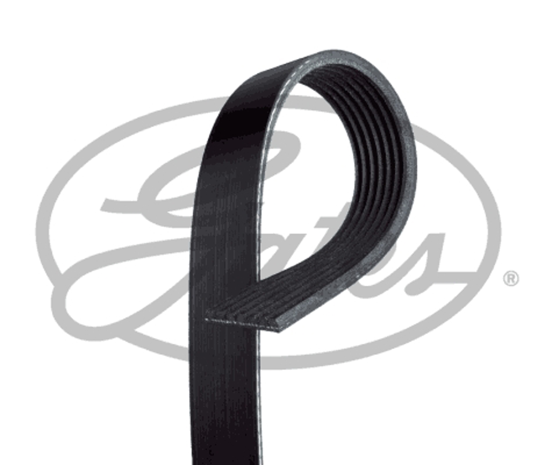 Ремень поликлиновой GATES 7PK2150