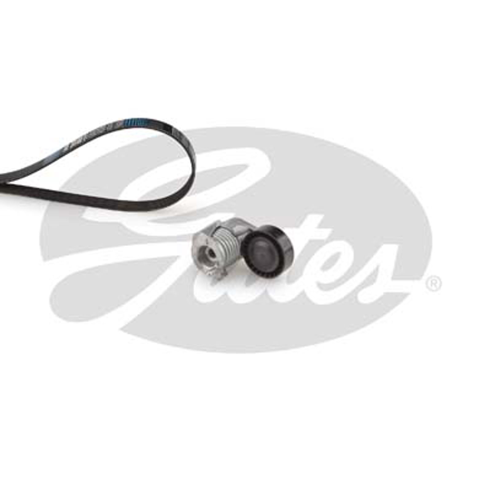 Комплект поликлинового ремня ford focus ii GATES K025PK848