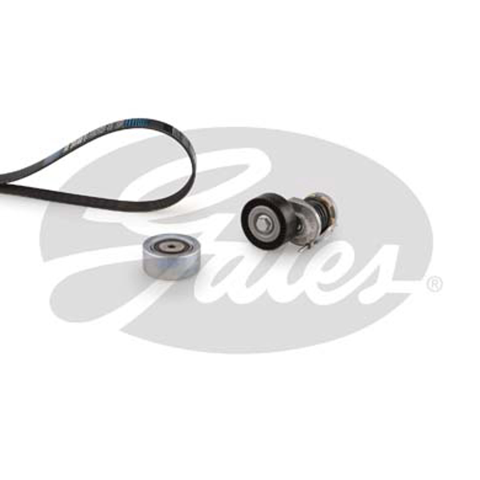 Комплект поликлинового ремня audi a6 c6 GATES K036PK1613