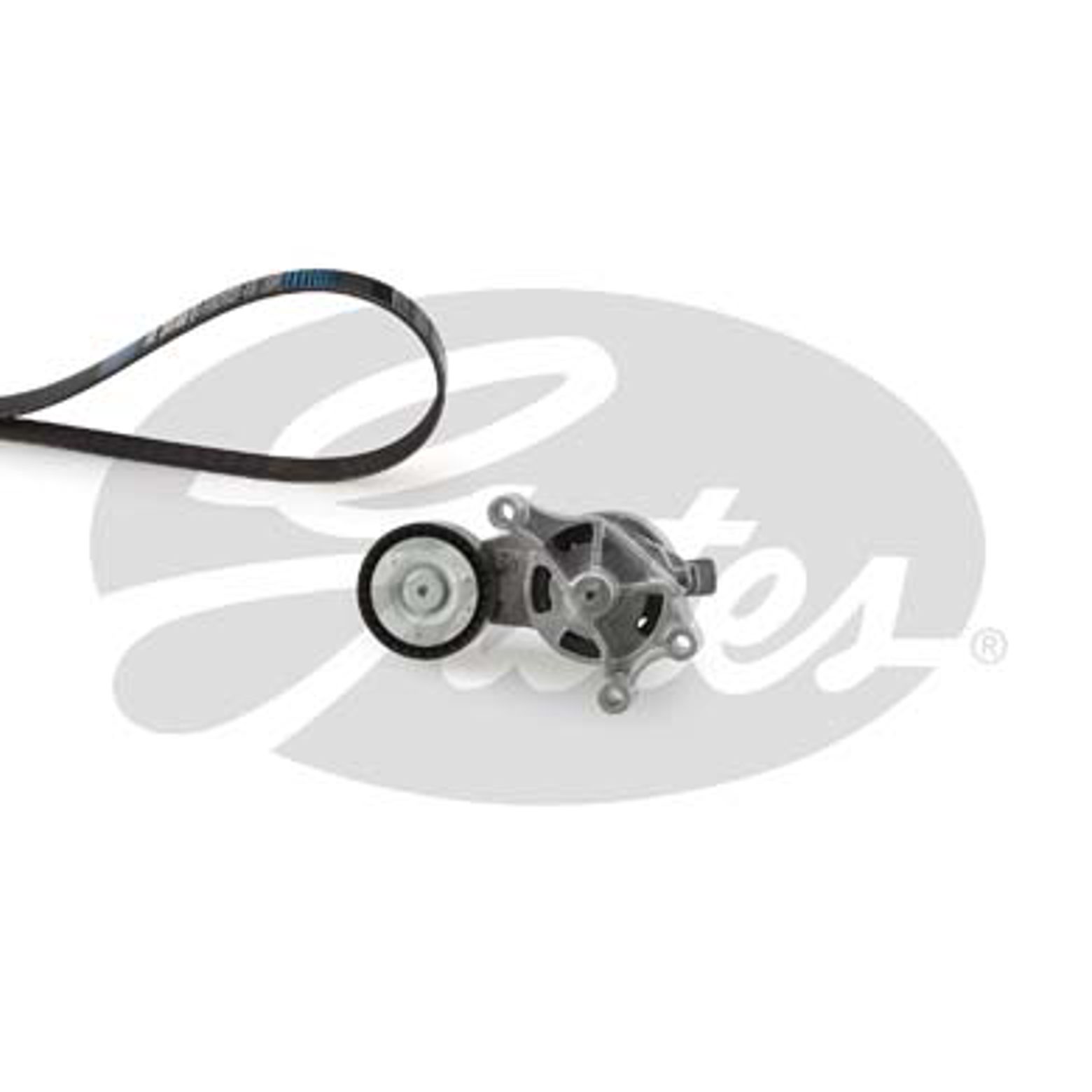 Комплект поликлинового ремня audi a3 GATES K036PK955