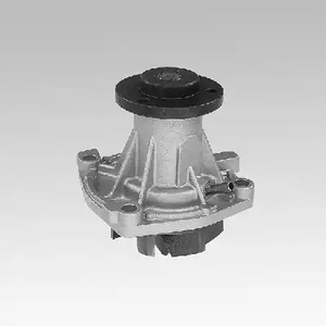 Водяной насос HEPU P345