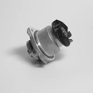 Насос водяной HEPU P525