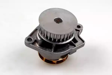 Водяной насос HEPU P557