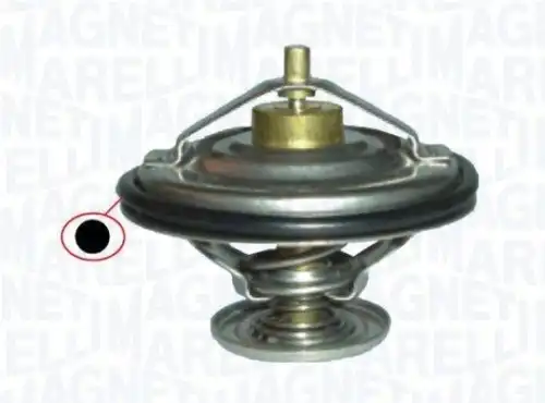 Te0019mm термостат MAGNETI MARELLI 352317100190