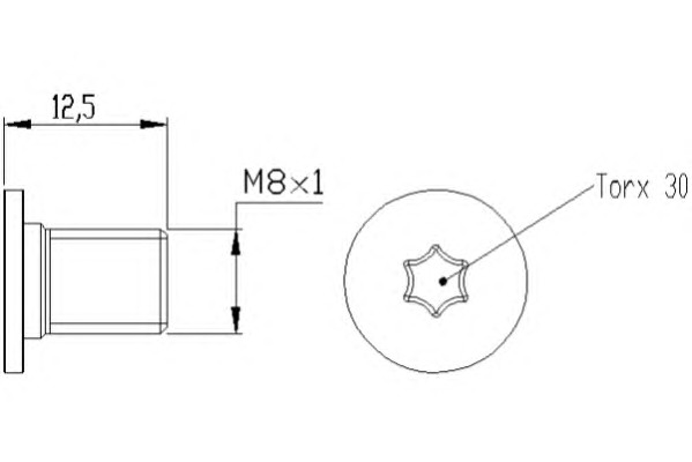Болт HELLA/BEHR/PAGID TPM0002