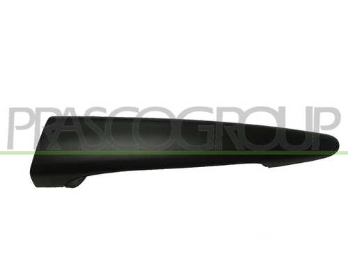 Ручка двери PRASCO BM0208004
