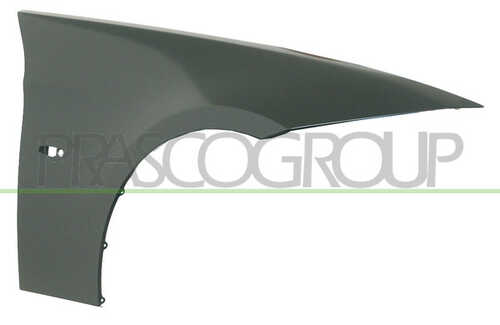 Подкрылок PRASCO BM0243013