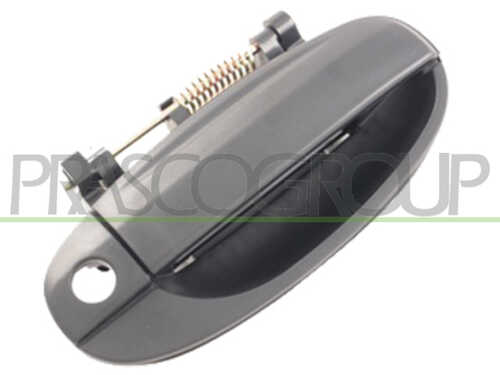 Ручка двери PRASCO DW3268001
