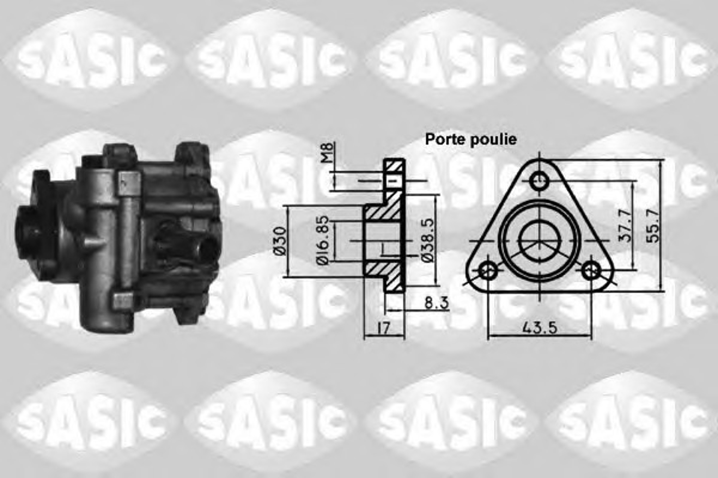 Гидравлический насос рулевое управление SASIC 7076001